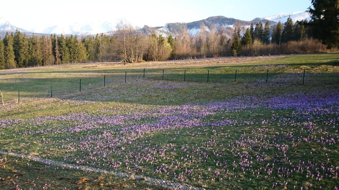 Domki Skupniowy Uplaz Murzasichle Buitenkant foto