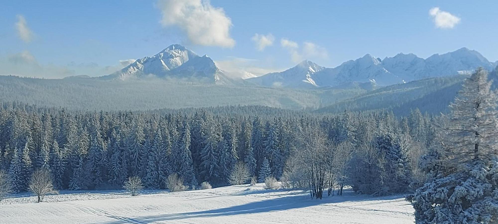 Domki Skupniowy Uplaz Murzasichle Buitenkant foto